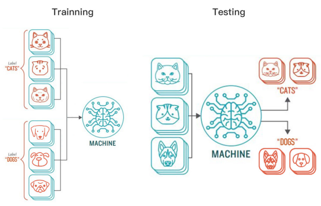 Train-and-Test-Data-set-Machine-Learning-Procedure