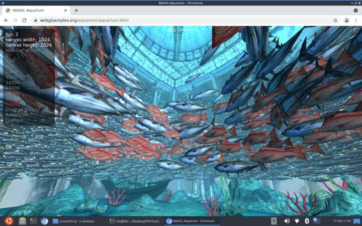 ทดสอบ WebGL Aquarium ด้วยปลา 30,000 ตัวบนบอร์ด Purple Pi OH Pro