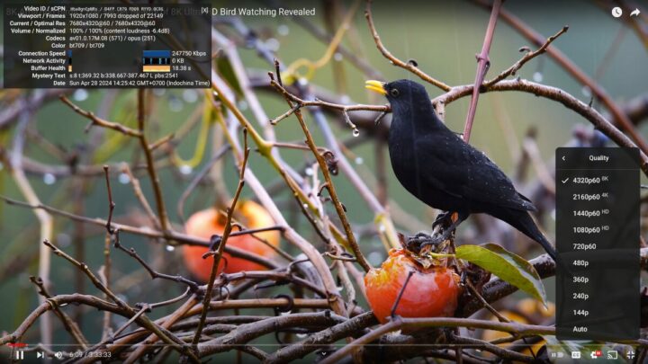 youtube 8K p60 GEEKOM XE12 Pro Ubuntu 24.04