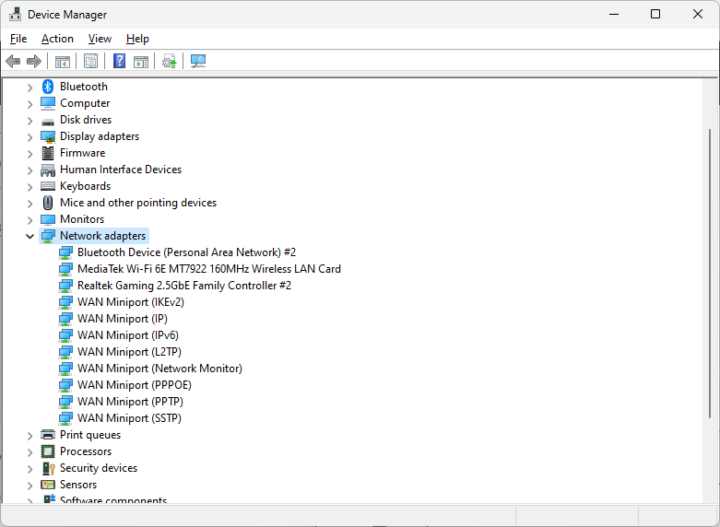 Device Manager Network adapter