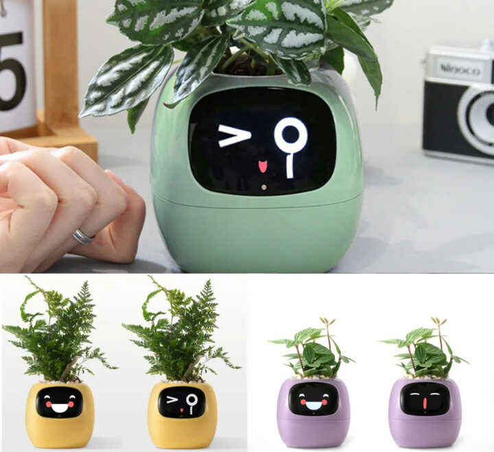 Tuya Ivy Smart Flower Pot