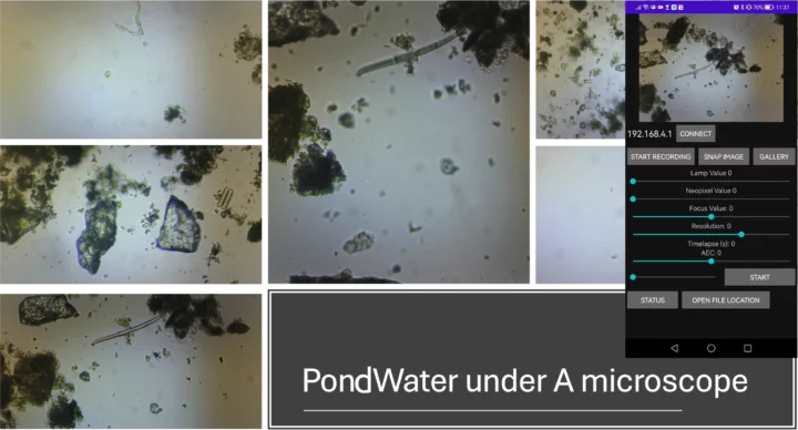 openUC2 microscope sample