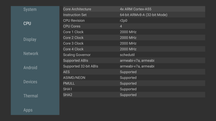 aida64 CPU