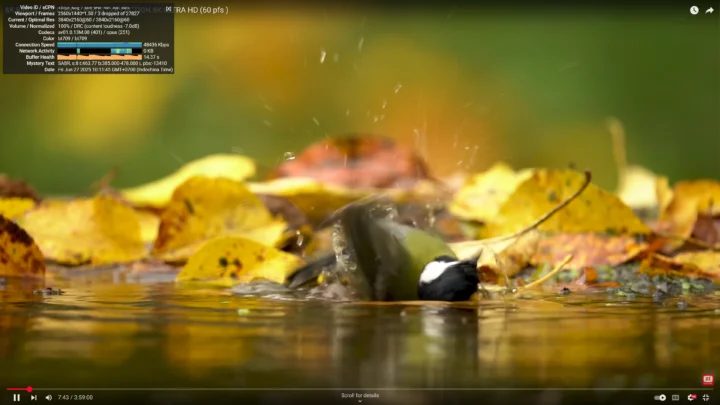youtube 4K 60FPS