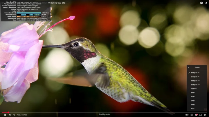 youtube 8K 60 FPS Chrome