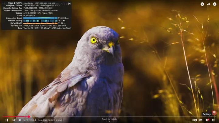 youtube 8Kp60