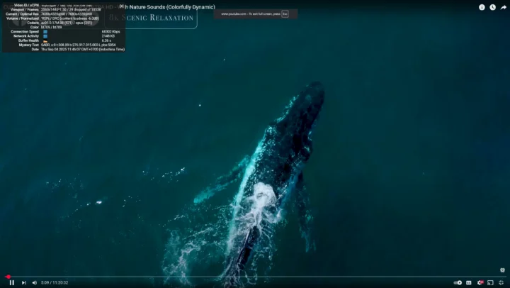 youtube 8k fps60 chrome