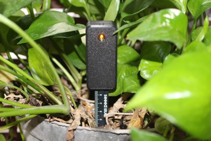 Almost Dry LED yellow