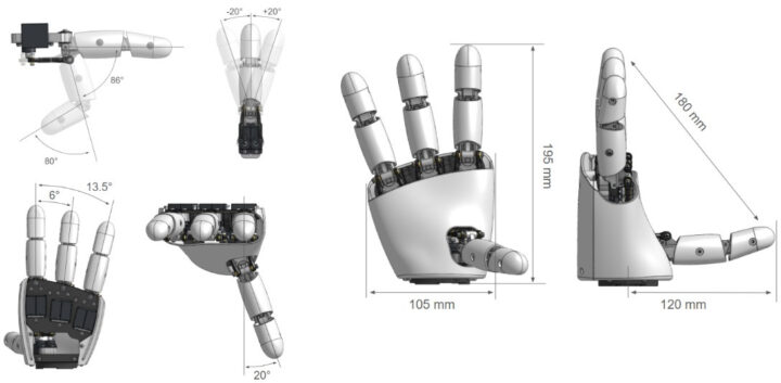 Amazing Hand Dimensions