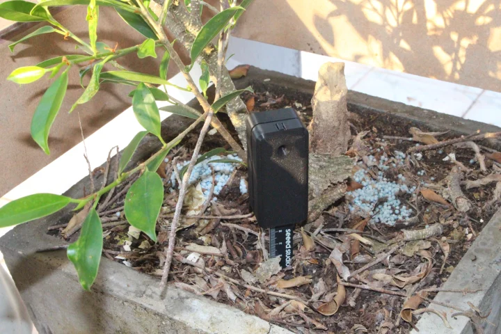 Soil Moisture Setatus Namal Moisture 0%