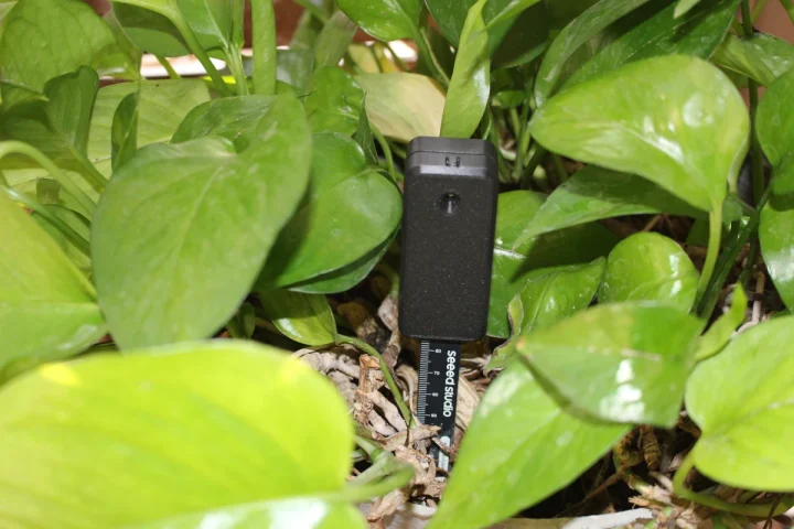 XIAO Soil Moisture Sensor review
