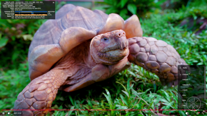 GEEKOM A5 Pro Windows 11 Chrome YouTube 4Kp60