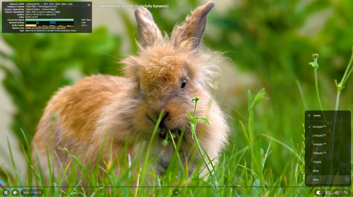 GEEKOM A5 Pro Windows 11 firefox YouTube 8Kp60