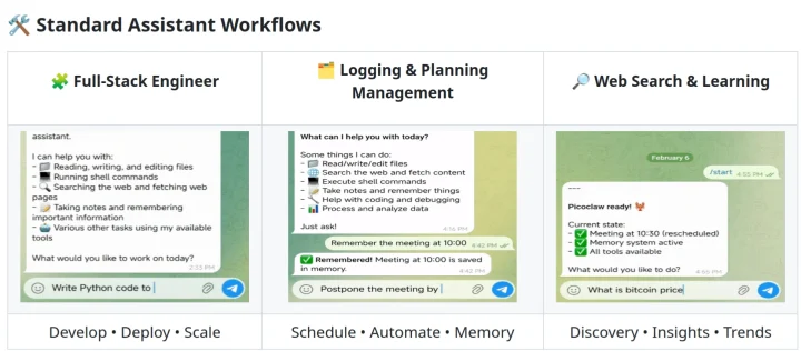 Picoclaw AI Assistant Workflows