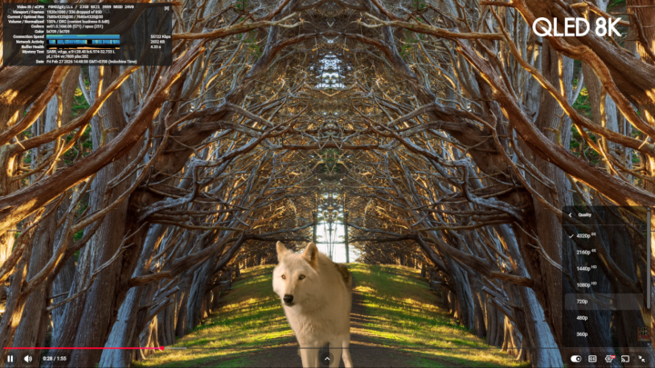 youtube chrome 8K 30FPS