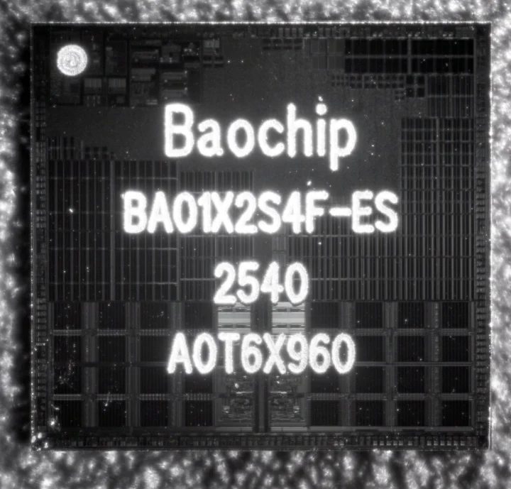 Baochip IRIS inspection