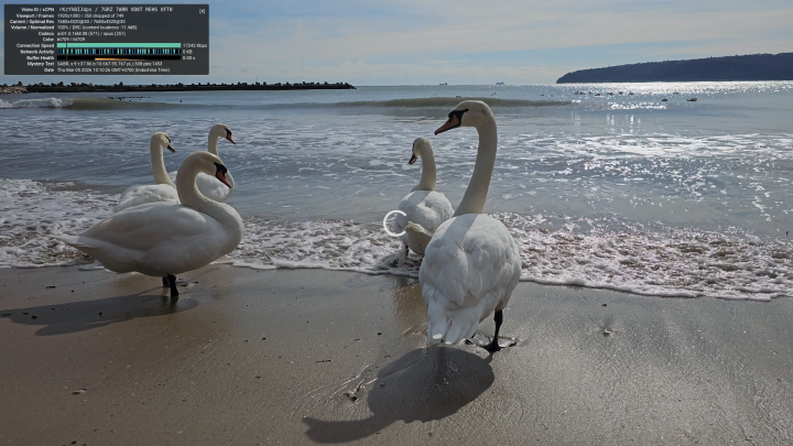 ubunto firefox YouTube 8Kp30