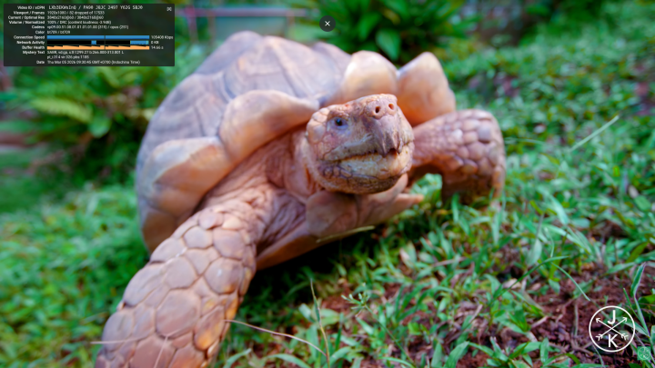 ubuntu chrome YouTube 4Kp60