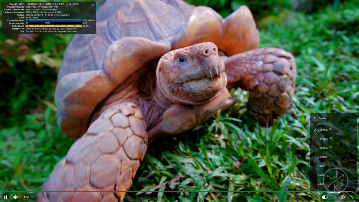 GEEKOM A5 Pro 2026 Edition ubuntu firefox YouTube 4Kp60