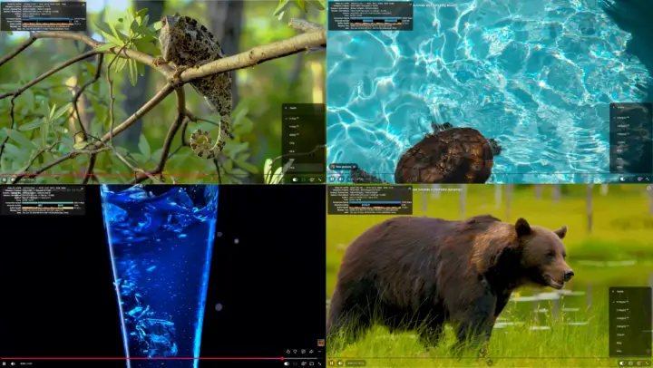 GEEKOM A7 2026 Edition video youtube firefox windows GEEKOM A7 2026 Edition video youtube firefox windows