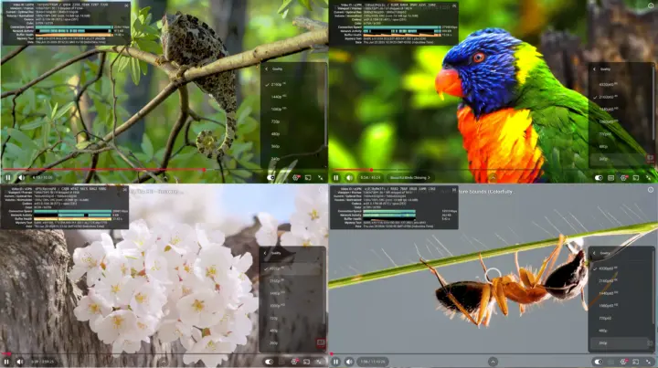 youtubu 4K 8K chrome
