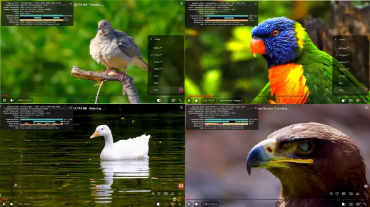 youtubu 4K 8K firefox