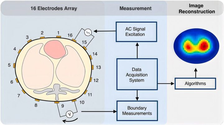 EIT system showing the electrode array, AC signal excitation, data acquisition, boundary measurements, and image reconstruction process