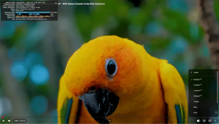 GEEKOM IT13 Max Youtube 8K 60FPS Firefox Windows11 GEEKOM IT13 Max Youtube 8K 60FPS Firefox Windows11