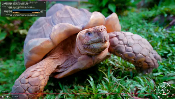 Youtube 4K 60FPS Firefox Ubuntu Youtube 4K 60FPS Firefox Ubuntu